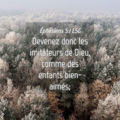 Picture 04 - Éphésiens 5:1 LSG - Devenez donc les imitateurs de Dieu, comme des - Bible Verse Picture