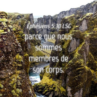 Picture 04 - Éphésiens 5:30 LSG - parce que nous sommes membres de son - Bible Verse Picture
