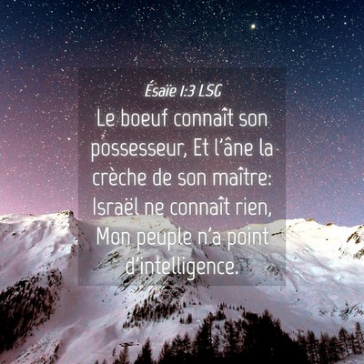 Picture 04 - Ésaïe 1:3 LSG - Le boeuf connaît son possesseur, Et l'âne la - Bible Verse Picture