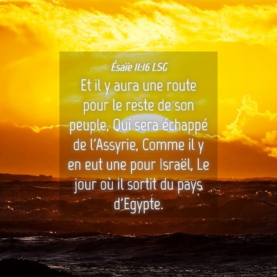 Picture 04 - Ésaïe 11:16 LSG - Et il y aura une route pour le reste de son - Bible Verse Picture