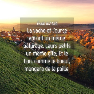 Picture 04 - Ésaïe 11:7 LSG - La vache et l'ourse auront un même pâturage, - Bible Verse Picture