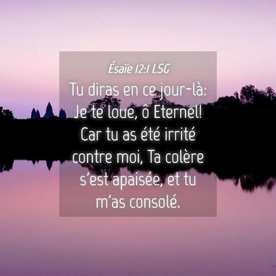 Picture 04 - Ésaïe 12:1 LSG - Tu diras en ce jour-là: Je te loue, ô Eternel! - Bible Verse Picture