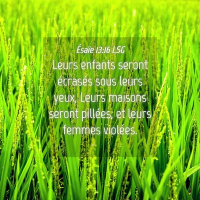 Picture 04 - Ésaïe 13:16 LSG - Leurs enfants seront écrasés sous leurs yeux, - Bible Verse Picture