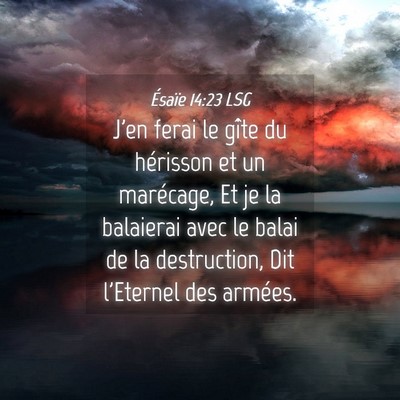 Picture 04 - Ésaïe 14:23 LSG - J'en ferai le gîte du hérisson et un marécage, - Bible Verse Picture