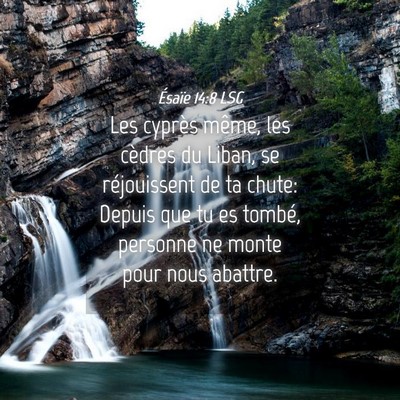 Picture 04 - Ésaïe 14:8 LSG - Les cyprès même, les cèdres du Liban, se - Bible Verse Picture