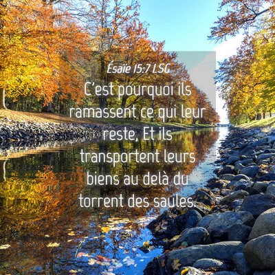 Picture 04 - Ésaïe 15:7 LSG - C'est pourquoi ils ramassent ce qui leur reste, - Bible Verse Picture
