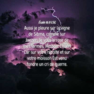 Picture 04 - Ésaïe 16:9 LSG - Aussi je pleure sur la vigne de Sibma, comme sur - Bible Verse Picture