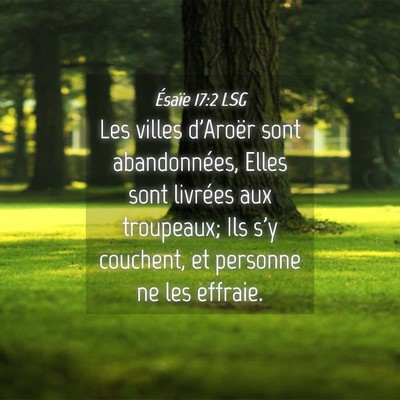 Picture 04 - Ésaïe 17:2 LSG - Les villes d'Aroër sont abandonnées, Elles sont - Bible Verse Picture