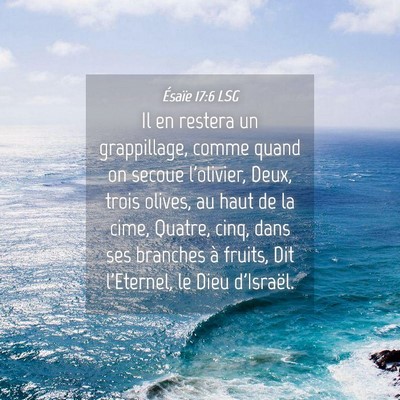 Picture 04 - Ésaïe 17:6 LSG - Il en restera un grappillage, comme quand on - Bible Verse Picture
