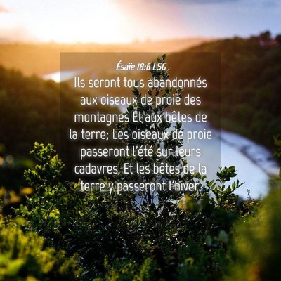 Picture 04 - Ésaïe 18:6 LSG - Ils seront tous abandonnés aux oiseaux de proie - Bible Verse Picture