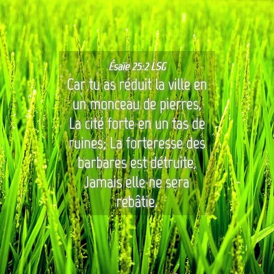 Picture 04 - Ésaïe 25:2 LSG - Car tu as réduit la ville en un monceau de - Bible Verse Picture
