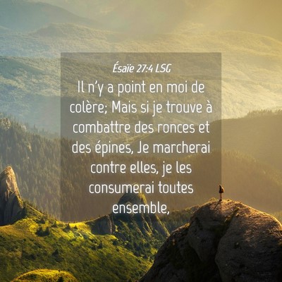 Picture 04 - Ésaïe 27:4 LSG - Il n'y a point en moi de colère; Mais si je - Bible Verse Picture
