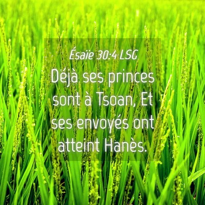 Picture 04 - Ésaïe 30:4 LSG - Déjà ses princes sont à Tsoan, Et ses envoyés - Bible Verse Picture