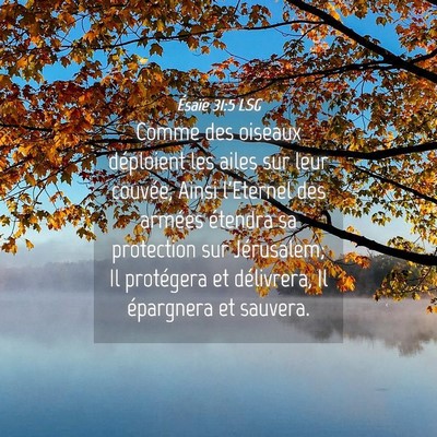 Picture 04 - Ésaïe 31:5 LSG - Comme des oiseaux déploient les ailes sur leur - Bible Verse Picture