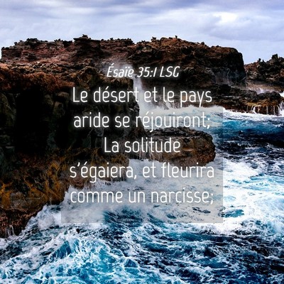 Picture 04 - Ésaïe 35:1 LSG - Le désert et le pays aride se réjouiront; La - Bible Verse Picture