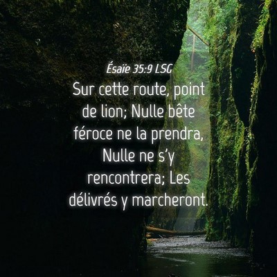 Picture 04 - Ésaïe 35:9 LSG - Sur cette route, point de lion; Nulle bête - Bible Verse Picture