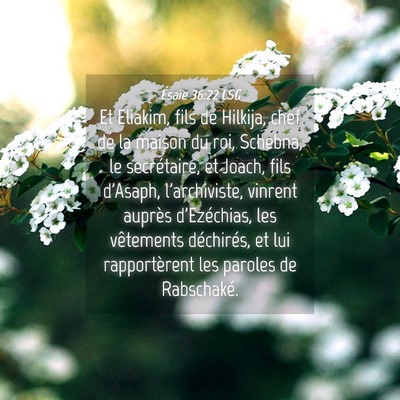 Picture 04 - Ésaïe 36:22 LSG - Et Eliakim, fils de Hilkija, chef de la maison du - Bible Verse Picture