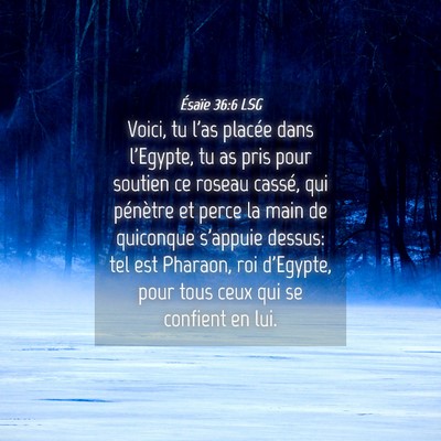 Picture 04 - Ésaïe 36:6 LSG - Voici, tu l'as placée dans l'Egypte, tu as pris - Bible Verse Picture