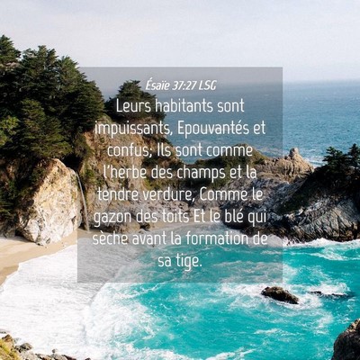 Picture 04 - Ésaïe 37:27 LSG - Leurs habitants sont impuissants, Epouvantés et - Bible Verse Picture