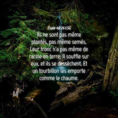 Picture 04 - Ésaïe 40:24 LSG - Ils ne sont pas même plantés, pas même semés, - Bible Verse Picture