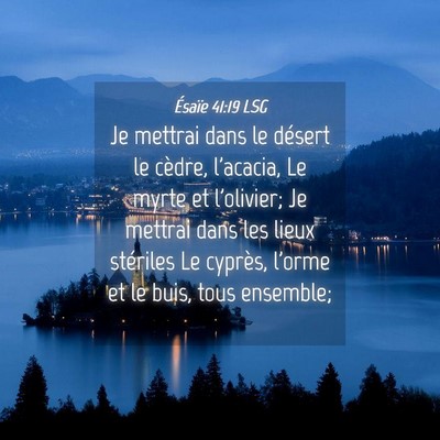 Picture 04 - Ésaïe 41:19 LSG - Je mettrai dans le désert le cèdre, l'acacia, - Bible Verse Picture