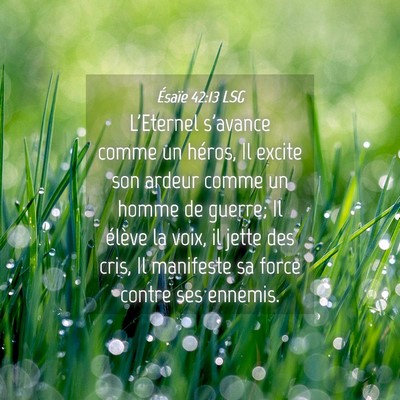 Picture 04 - Ésaïe 42:13 LSG - L'Eternel s'avance comme un héros, Il excite son - Bible Verse Picture