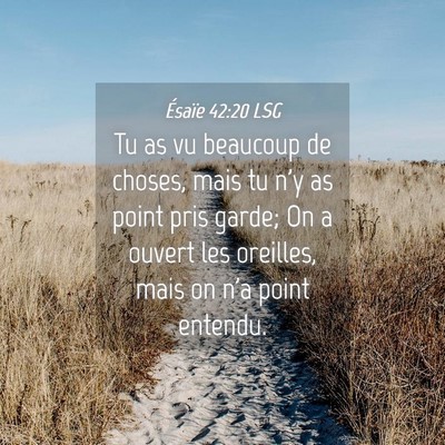 Picture 04 - Ésaïe 42:20 LSG - Tu as vu beaucoup de choses, mais tu n'y as point - Bible Verse Picture