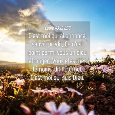 Picture 04 - Ésaïe 43:12 LSG - C'est moi qui ai annoncé, sauvé, prédit, Ce - Bible Verse Picture