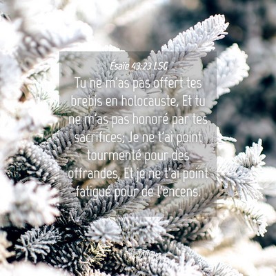 Picture 04 - Ésaïe 43:23 LSG - Tu ne m'as pas offert tes brebis en holocauste, - Bible Verse Picture