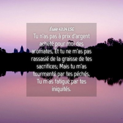 Picture 04 - Ésaïe 43:24 LSG - Tu n'as pas à prix d'argent acheté pour moi des - Bible Verse Picture