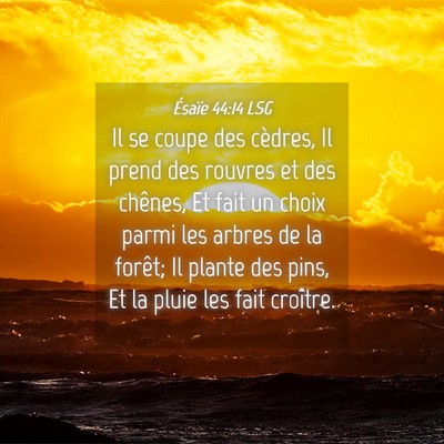Picture 04 - Ésaïe 44:14 LSG - Il se coupe des cèdres, Il prend des rouvres et - Bible Verse Picture