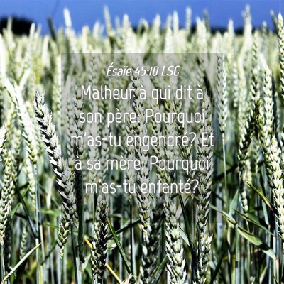 Picture 04 - Ésaïe 45:10 LSG - Malheur à qui dit à son père: Pourquoi m'as-tu - Bible Verse Picture