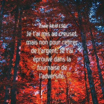 Picture 04 - Ésaïe 48:10 LSG - Je t'ai mis au creuset, mais non pour retirer de - Bible Verse Picture