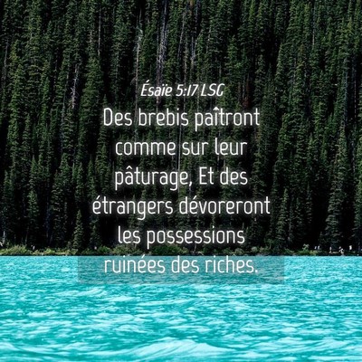 Picture 04 - Ésaïe 5:17 LSG - Des brebis paîtront comme sur leur pâturage, Et - Bible Verse Picture