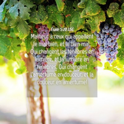 Picture 04 - Ésaïe 5:20 LSG - Malheur à ceux qui appellent le mal bien, et le - Bible Verse Picture