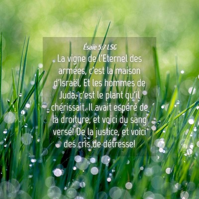 Picture 04 - Ésaïe 5:7 LSG - La vigne de l'Eternel des armées, c'est la - Bible Verse Picture
