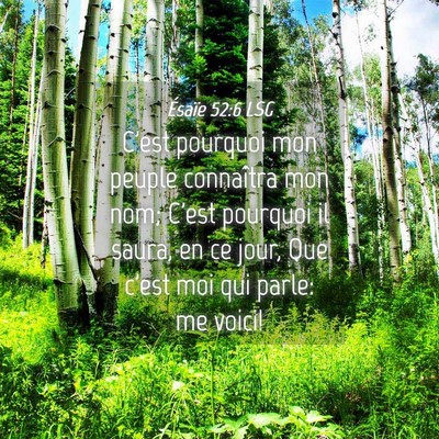 Picture 04 - Ésaïe 52:6 LSG - C'est pourquoi mon peuple connaîtra mon nom; - Bible Verse Picture