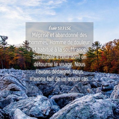 Picture 04 - Ésaïe 53:3 LSG - Méprisé et abandonné des hommes, Homme de - Bible Verse Picture