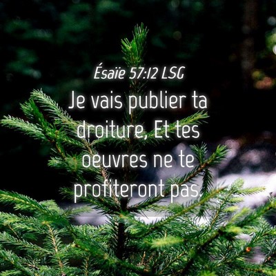Picture 04 - Ésaïe 57:12 LSG - Je vais publier ta droiture, Et tes oeuvres ne te - Bible Verse Picture