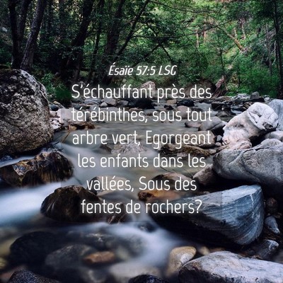 Picture 04 - Ésaïe 57:5 LSG - S'échauffant près des térébinthes, sous tout - Bible Verse Picture