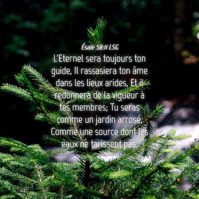 Picture 04 - Ésaïe 58:11 LSG - L'Eternel sera toujours ton guide, Il rassasiera - Bible Verse Picture