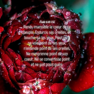 Picture 04 - Ésaïe 6:10 LSG - Rends insensible le coeur de ce peuple, Endurcis - Bible Verse Picture