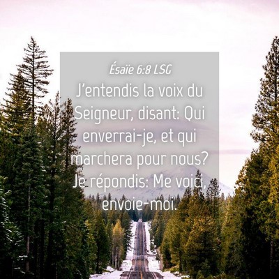 Picture 04 - Ésaïe 6:8 LSG - J'entendis la voix du Seigneur, disant: Qui - Bible Verse Picture