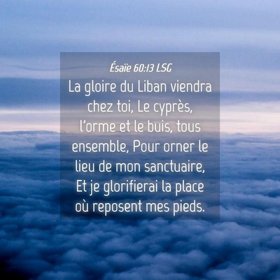 Picture 04 - Ésaïe 60:13 LSG - La gloire du Liban viendra chez toi, Le cyprès, - Bible Verse Picture