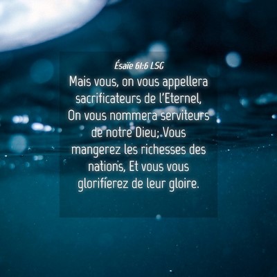 Picture 04 - Ésaïe 61:6 LSG - Mais vous, on vous appellera sacrificateurs de - Bible Verse Picture