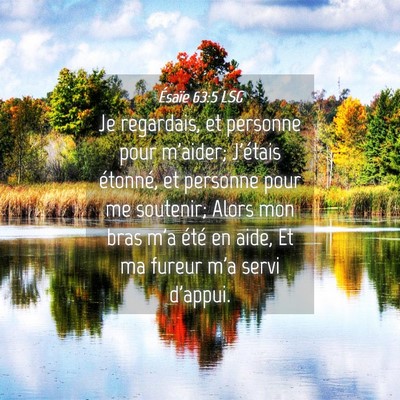 Picture 04 - Ésaïe 63:5 LSG - Je regardais, et personne pour m'aider; J'étais - Bible Verse Picture