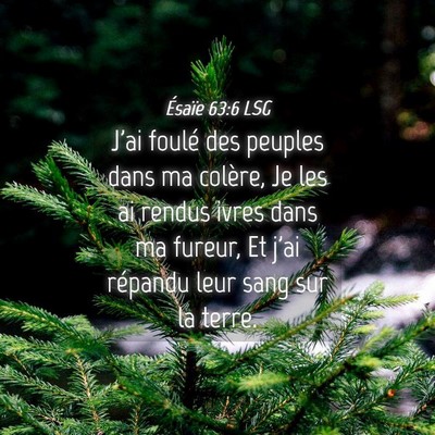 Picture 04 - Ésaïe 63:6 LSG - J'ai foulé des peuples dans ma colère, Je les - Bible Verse Picture