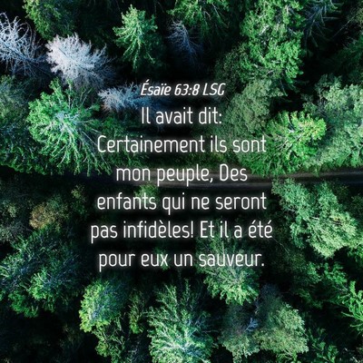 Picture 04 - Ésaïe 63:8 LSG - Il avait dit: Certainement ils sont mon peuple, - Bible Verse Picture