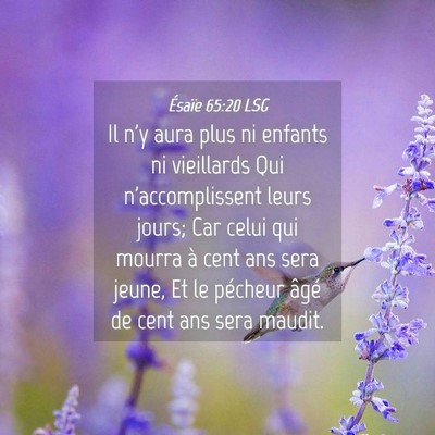 Picture 04 - Ésaïe 65:20 LSG - Il n'y aura plus ni enfants ni vieillards Qui - Bible Verse Picture
