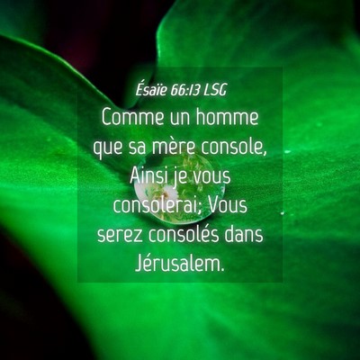 Picture 04 - Ésaïe 66:13 LSG - Comme un homme que sa mère console, Ainsi je - Bible Verse Picture